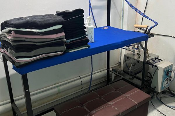 Steam Iron Service